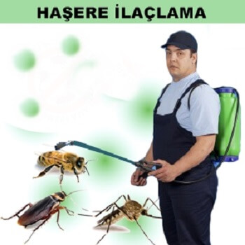 Eskil Böcek İlaçlama